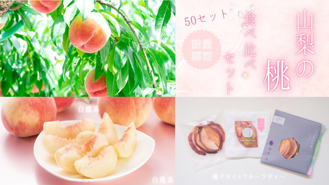 この夏食べてほしい絶品桃 お届け便！「山梨の桃食べ比べセット（全3回）」