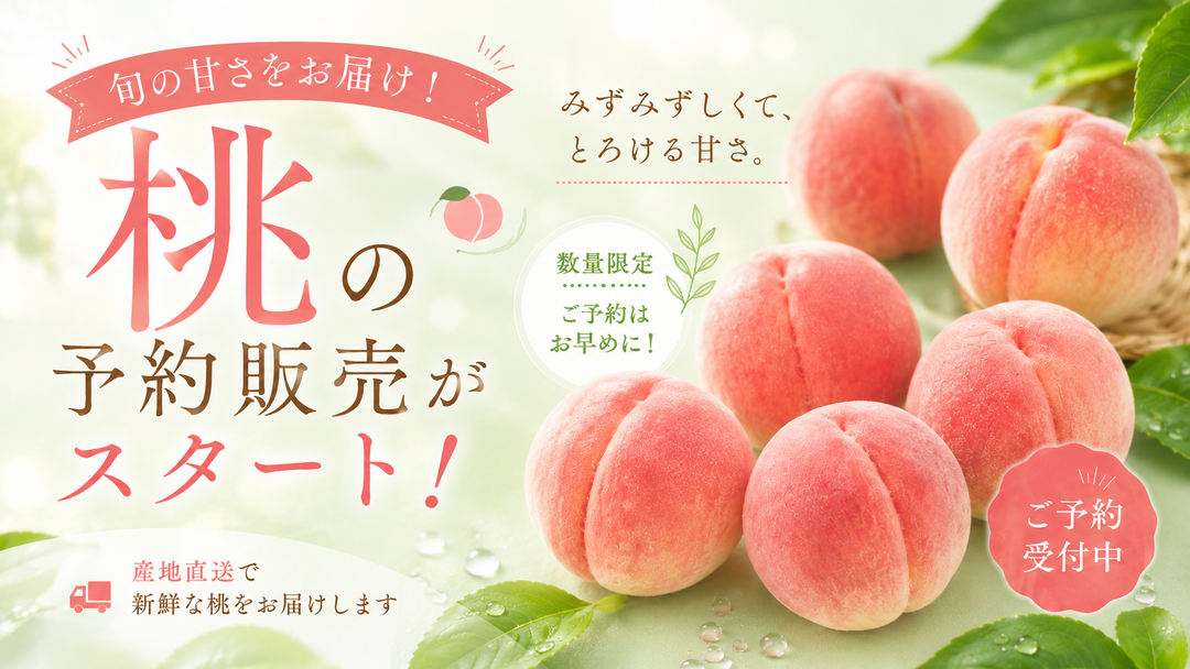 【夏限定の美味しさ】2026年朝採り桃の先行予約スタート