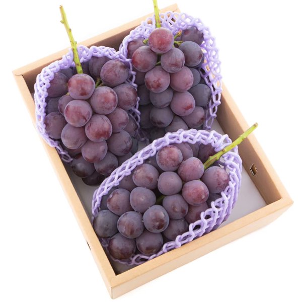 AmiNatureFruitsの新鮮種無し巨峰 3房-4房入(2.0kg) , 【販売期間 2024年8月5日～８月15日】